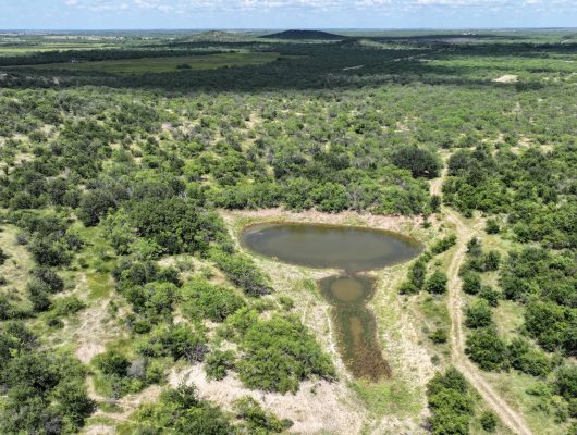 406 Acres in Shackelford County