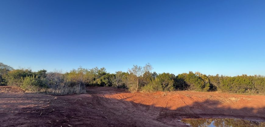 Unrestricted Land Between Buffalo Gap & Tuscola