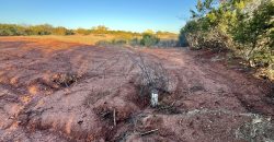 Unrestricted Land Between Buffalo Gap & Tuscola