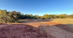 Unrestricted Land Between Buffalo Gap & Tuscola