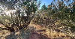 Unrestricted Land Between Buffalo Gap & Tuscola