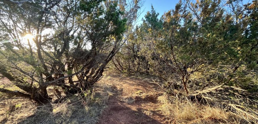 Unrestricted Land Between Buffalo Gap & Tuscola