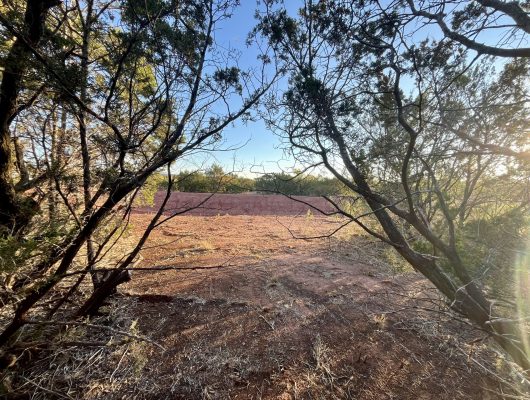 Unrestricted Land Between Buffalo Gap & Tuscola